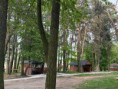/album/baza-v%d1%96dpochinku-quot%3bsosnina-quot%3b/img-9725-jpeg/